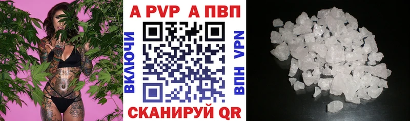 APVP СК  Вологда 