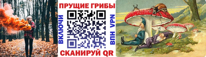 blacksprut ссылка  Вологда  Галлюциногенные грибы GOLDEN TEACHER 